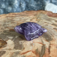 Load image into Gallery viewer, Amethyst Turtle