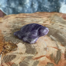 Load image into Gallery viewer, Amethyst Turtle