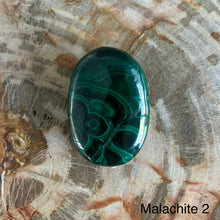 Load image into Gallery viewer, Malachite Palm stone