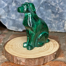Load image into Gallery viewer, Malachite Pup