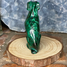 Load image into Gallery viewer, Malachite Pup