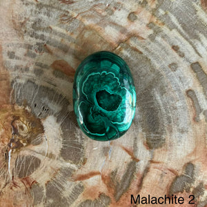 Malachite Palm stone