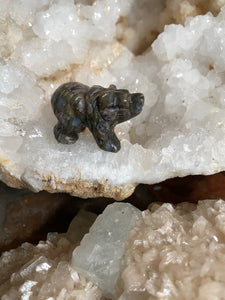 Que Sera Bear