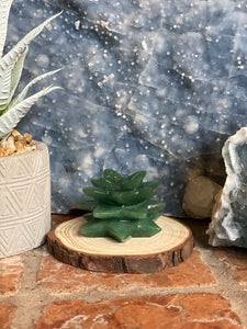 Aventurine Succulent