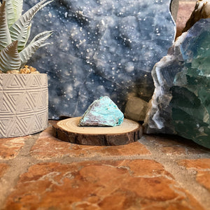 Rough Turquoise Palm