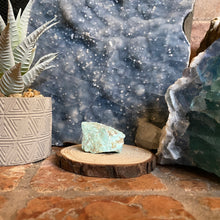 Load image into Gallery viewer, Rough Turquoise Palm