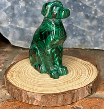 Load image into Gallery viewer, Malachite Pup