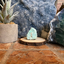 Load image into Gallery viewer, Rough Turquoise Palm